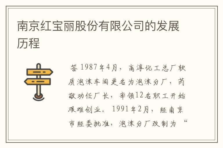 南京红宝丽股份有限公司的发展历程